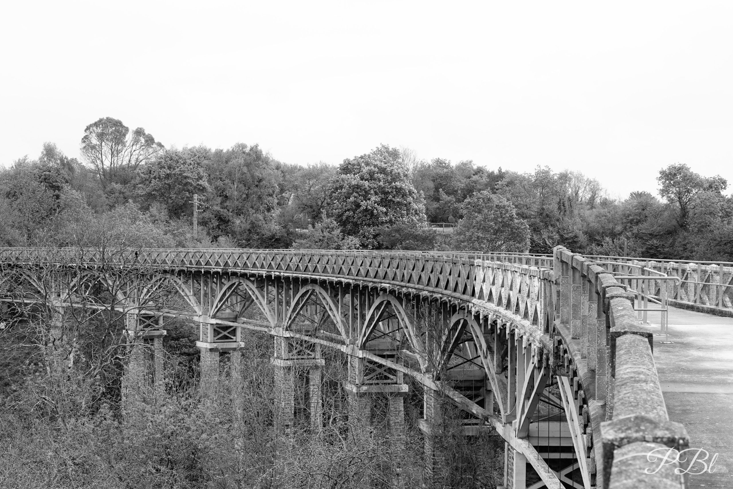 Ancien pont métallique à arches dans la verdure, en noir et blanc