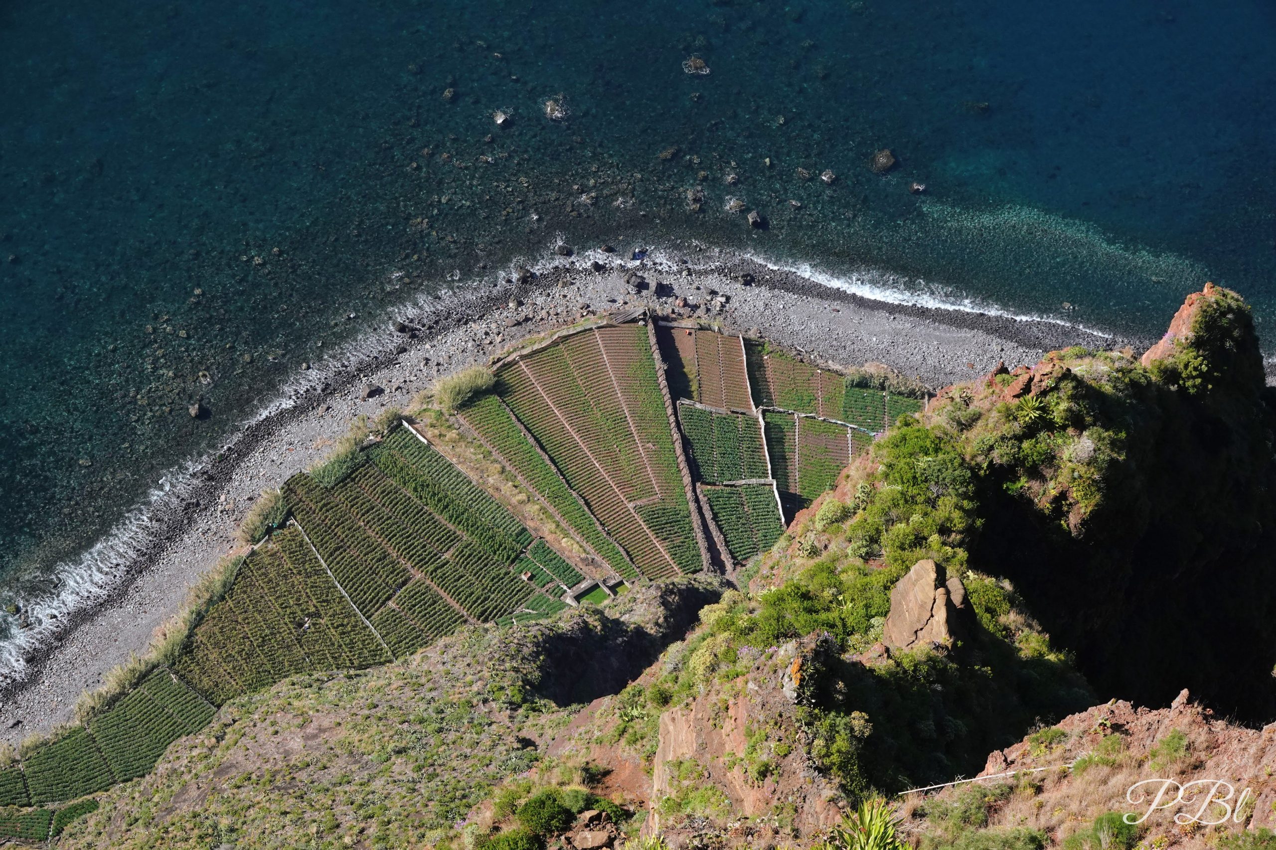 Vue plongeante depuis une falaise sur des cultures en terrasses au bord de l'océan