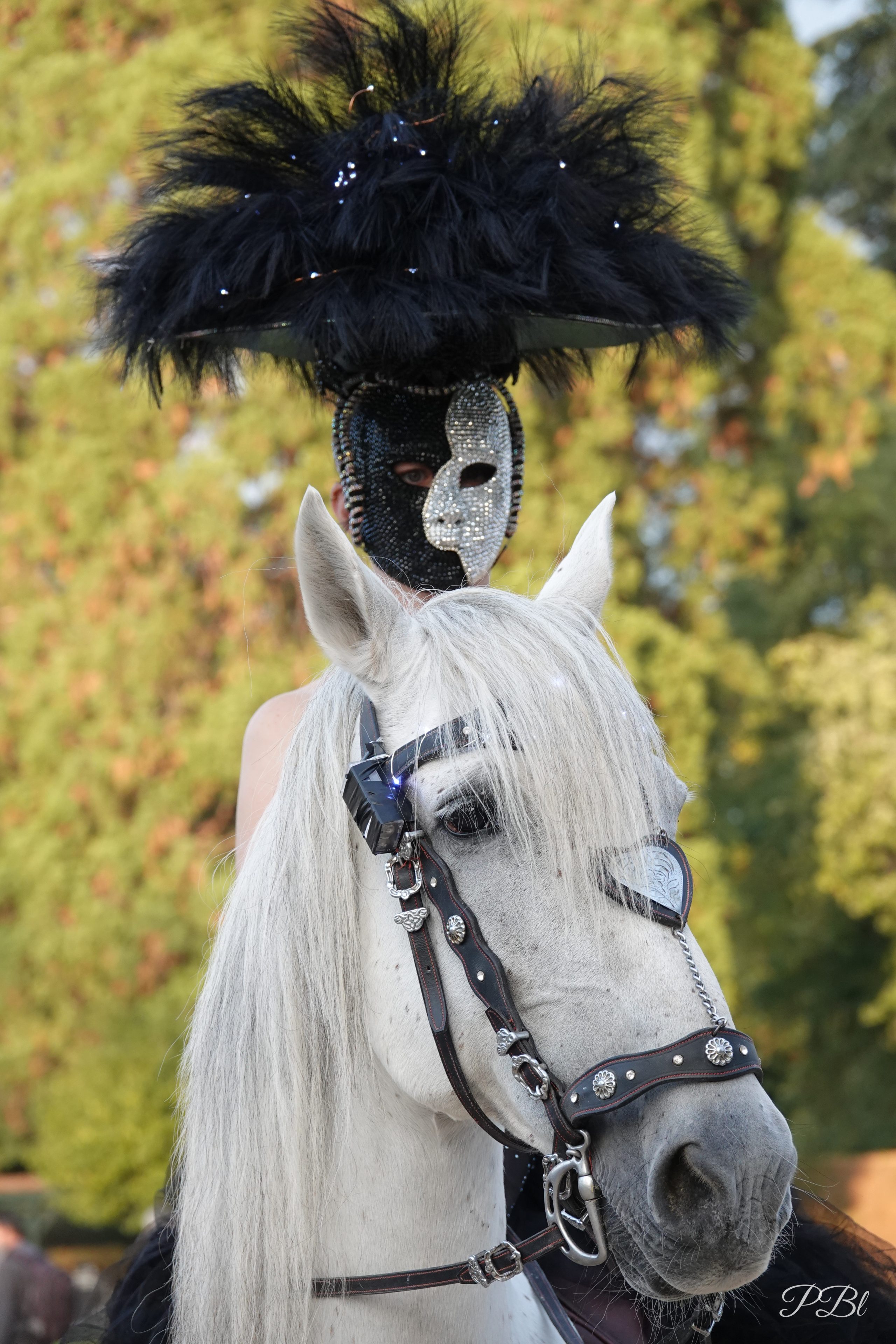 Personnage costumé au masque vénitien et chapeau à plumes noires, sur un cheval blanc