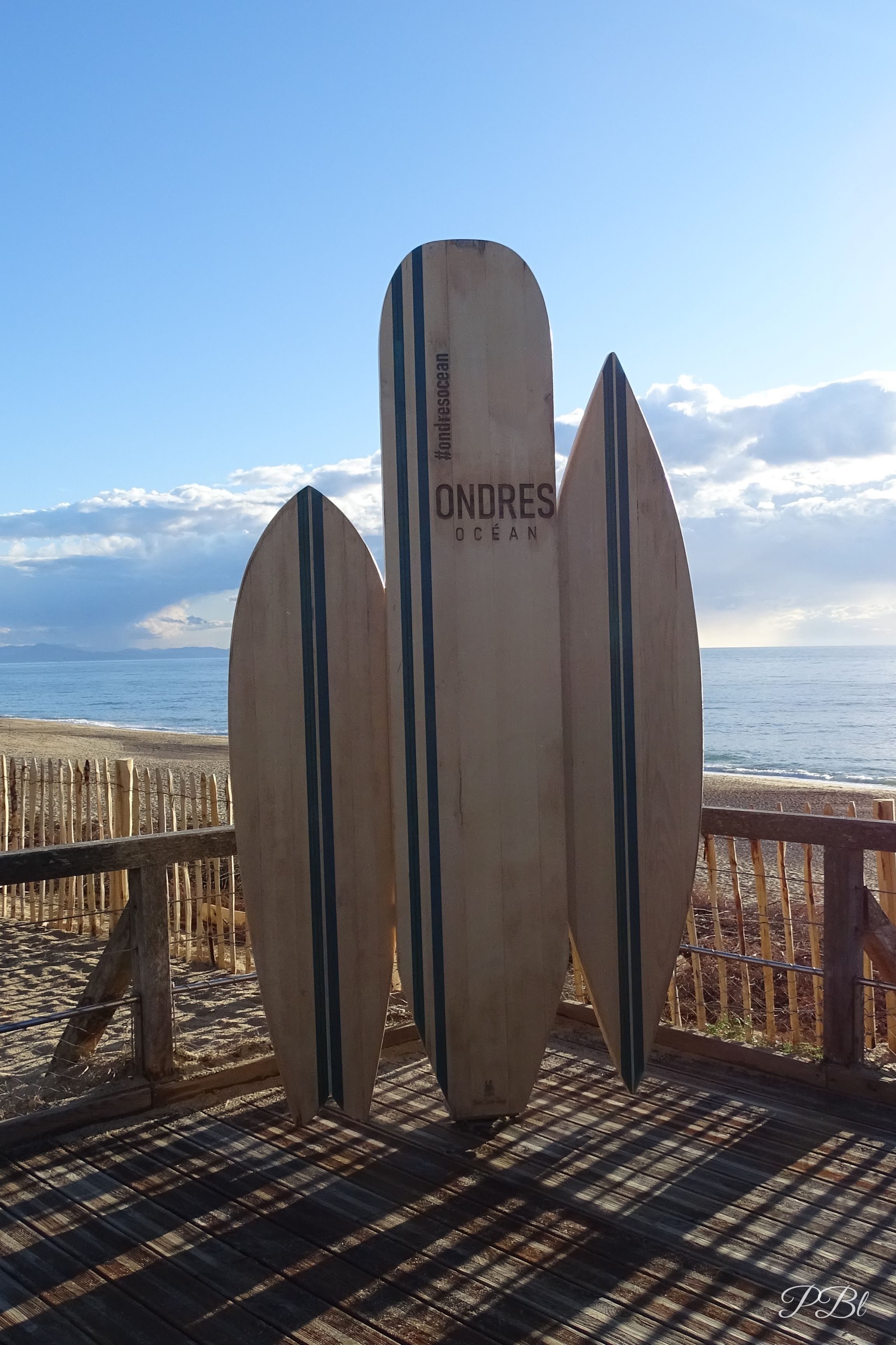 Trois planches de surf en bois dressées face à l'océan